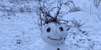 Ogłoszenie o zimowisku dla dzieci