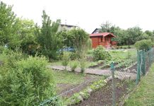 Jest zielone światło na inwestycje w RODach. Rusza Pomorskie dla Działkowców 2024