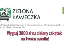 Wygraj 3 tys. zł na zielony zakątek na twoim osiedlu