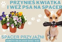 Spacer przyjaźni w Schronisku OTOZ Animals w Tczewie – 6 kwietnia