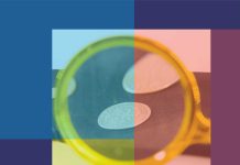 Europejskie Dni Archeologii – 15 czerwca