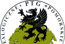 Z pomorską genealogią na Ty