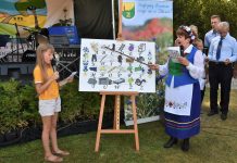 Plachandrujemy… 14 września w Wirtach