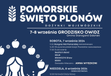Dożynki Wojewódzkie 2024 – tym razem w Owidzu