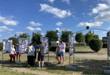 Wystawy plenerowe w przestrzeni publicznej