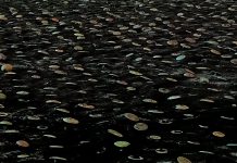 Wystawa retrospektywna prof. Mariusza Białeckiego – 24 października