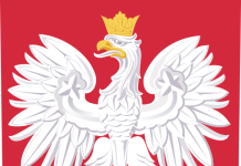 Wykonanie remontu i naprawy elewacji, remontu pokrycia dachu oraz wyposażenia sali i tarasu w istniejącym Środowiskowym Domu Samopomocy w Tczewie przy ul. Grunwaldzkiej 1 dla 25 osób przewlekle psychicznie chorych i osób z niepełnosprawnościami  intelektualnymi.