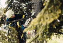 Będą cięcia… ale tylko pielęgnacyjne