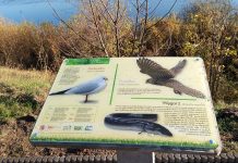 Zakończyliśmy odbudowę ścieżki – Natura 2000