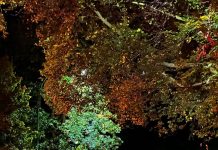 Modernizacja miejskiego oświetlenia – wkrótce kolejny etap