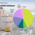 Green and White Simple Budget Pie Chart Graph (1)