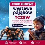 2025-02-18 wystawa pająków – grafika