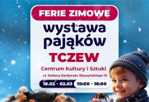 Wystawa pająków i skorpionów – od 18 lutego do 2 marca