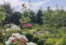 Tczew szuka przedstawicieli organizacji pozarządowych do komisji grantowej