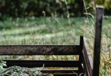 Kompostujesz odpady zielone – wypełnij ankietę