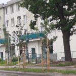 Armii Krajowej3