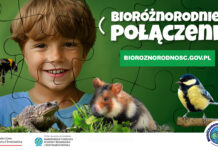 Kampania „Bioróżnorodnie połączeni”