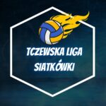 Liga siatkówki mały