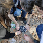 Gra-terenowa-w-Skamieniałym-Mieście