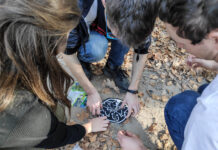 Ruszamy na Grę Miejską po Tczewie! – 15 listopada