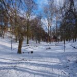 12. Grudzień – Anna Krzyżanowska