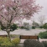 4. Kwiecień – Sonia Sikora