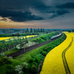 5. Maj – Maciej Kulla