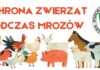 Ochrona zwierząt podczas mrozów