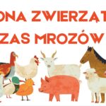 Red Blue and White Motivational Goal Checklist A4