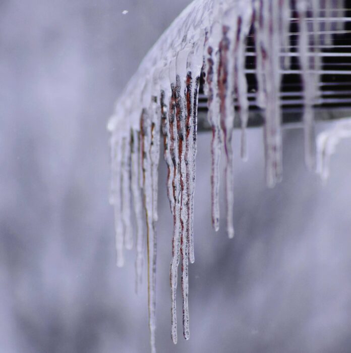 pexels-ashley-jenkins-583615239-17171891