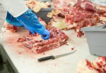 Informacja Powiatowego Lekarza Weterynarii