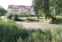 Zagospodarowanie terenu i odprowadzanie wód opadowych do zbiornika retencyjnego przy ul. Piotrowo- przetarg