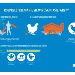 facebook_1743056773352_7310909996700569813