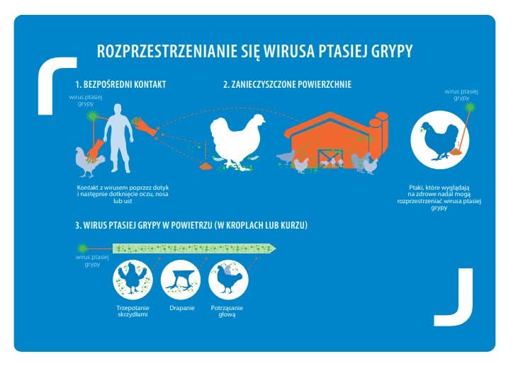 facebook_1743056773352_7310909996700569813