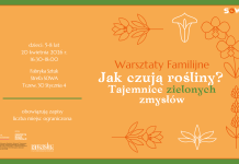 Jak czują rośliny? – SOWA zaprasza na warsztaty familijne