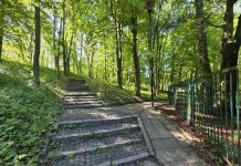 Zapraszamy mieszkańców Tczewa na konsultacje społeczne w ramach opracowania Miejskiego Planu Adaptacji do Zmian Klimatu.