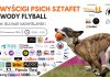 IX Wyścigi Psich Sztafet w Tczewie. Weekend pełen emocji na Bulwarze Nadwiślańskim