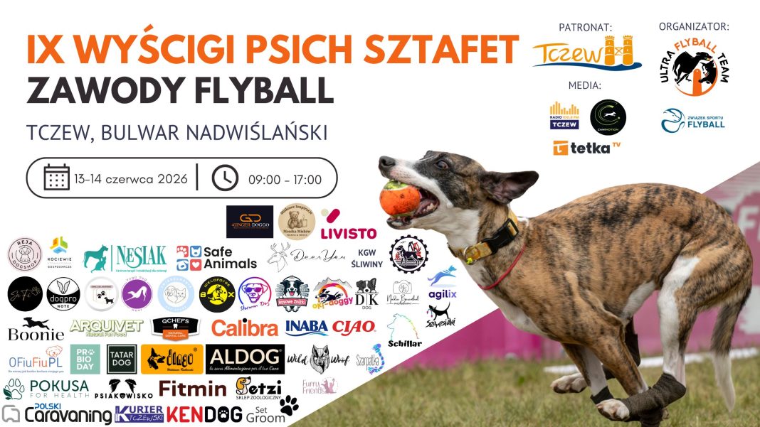 Wyścigi psich sztafet – kopia_20260609_090823_0000