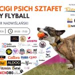 Wyścigi psich sztafet – kopia_20260609_090823_0000