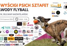 IX Wyścigi Psich Sztafet w Tczewie. Weekend pełen emocji na Bulwarze Nadwiślańskim