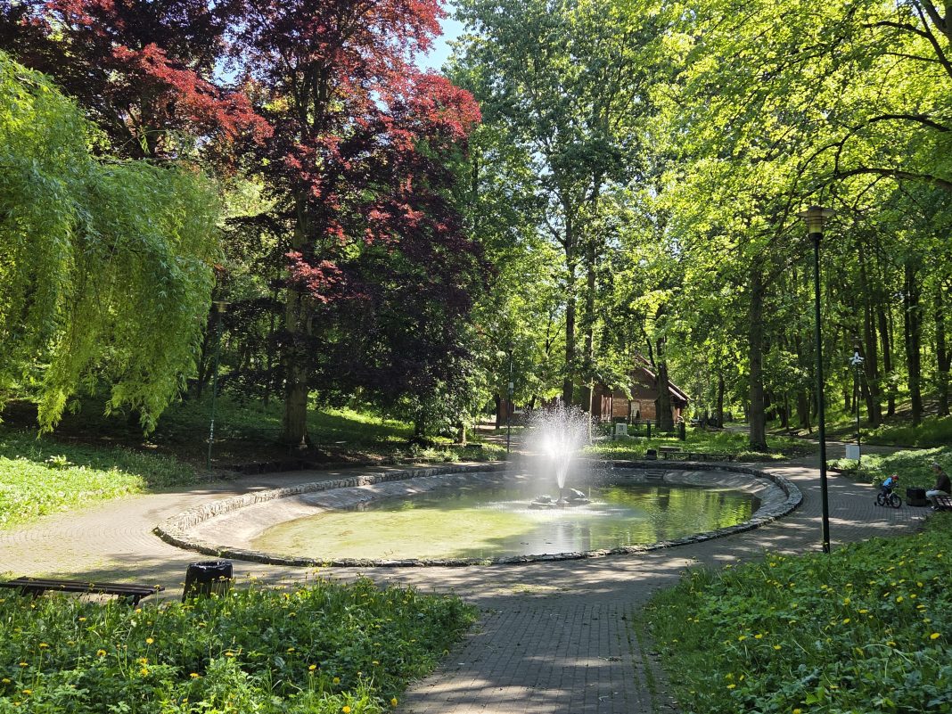 Foto_Park miejski