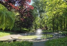 Mieszkańcy Tczewa mogą wziąć udział w konsultacjach dotyczących adaptacji miasta do zmian klimatu
