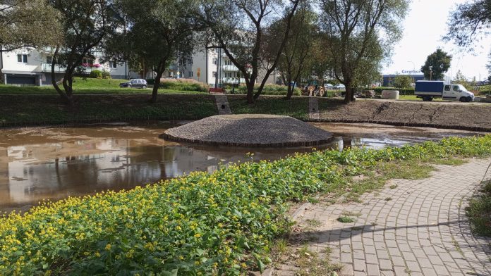 5-stawek Bajkowe