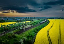 Konkurs fotograficzny „Cztery pory roku w Tczewie…” – czekamy do 12 października