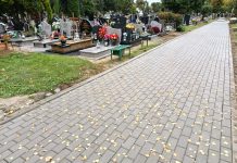 Przygotowania do Wszystkich Świętych – sprawdź, gdzie zaparkować samochód
